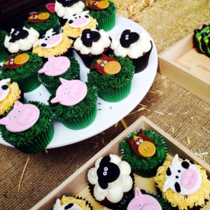 Colourful farm iced cupcakes